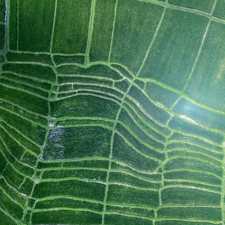 Outdoor terrace seating suitable for families in London